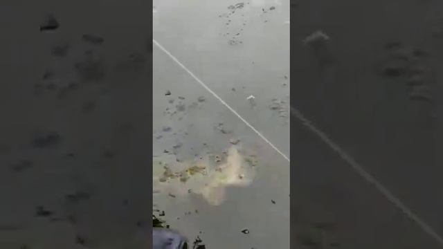 Казахстан#Рыбалка# Тургай супер Щука большое 15 кг смотреть онлайн