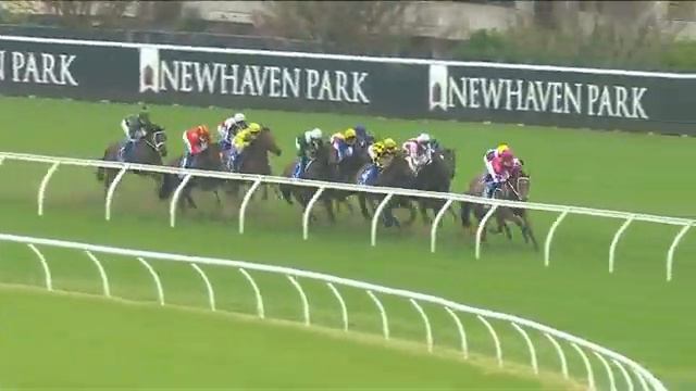 2021 Tea Rose Stakes смотреть онлайн