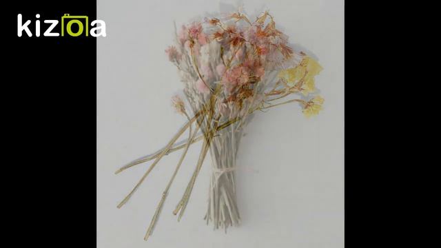 Засушенные цветы. Релакс смотреть онлайн