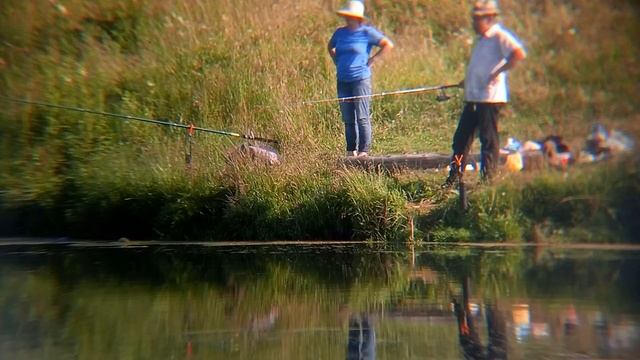 7.07.20 Карася ловят интеллигенты. Рыбачка исполнила танец-заговор от коронавируса... Медный Крючок смотреть онлайн
