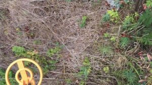 Первый коп с MD4080 MD 4030 с пинпоинтер. На сколько хороший металлоискатель МД4080 ФЕРМА 16 ЧАСТЬ