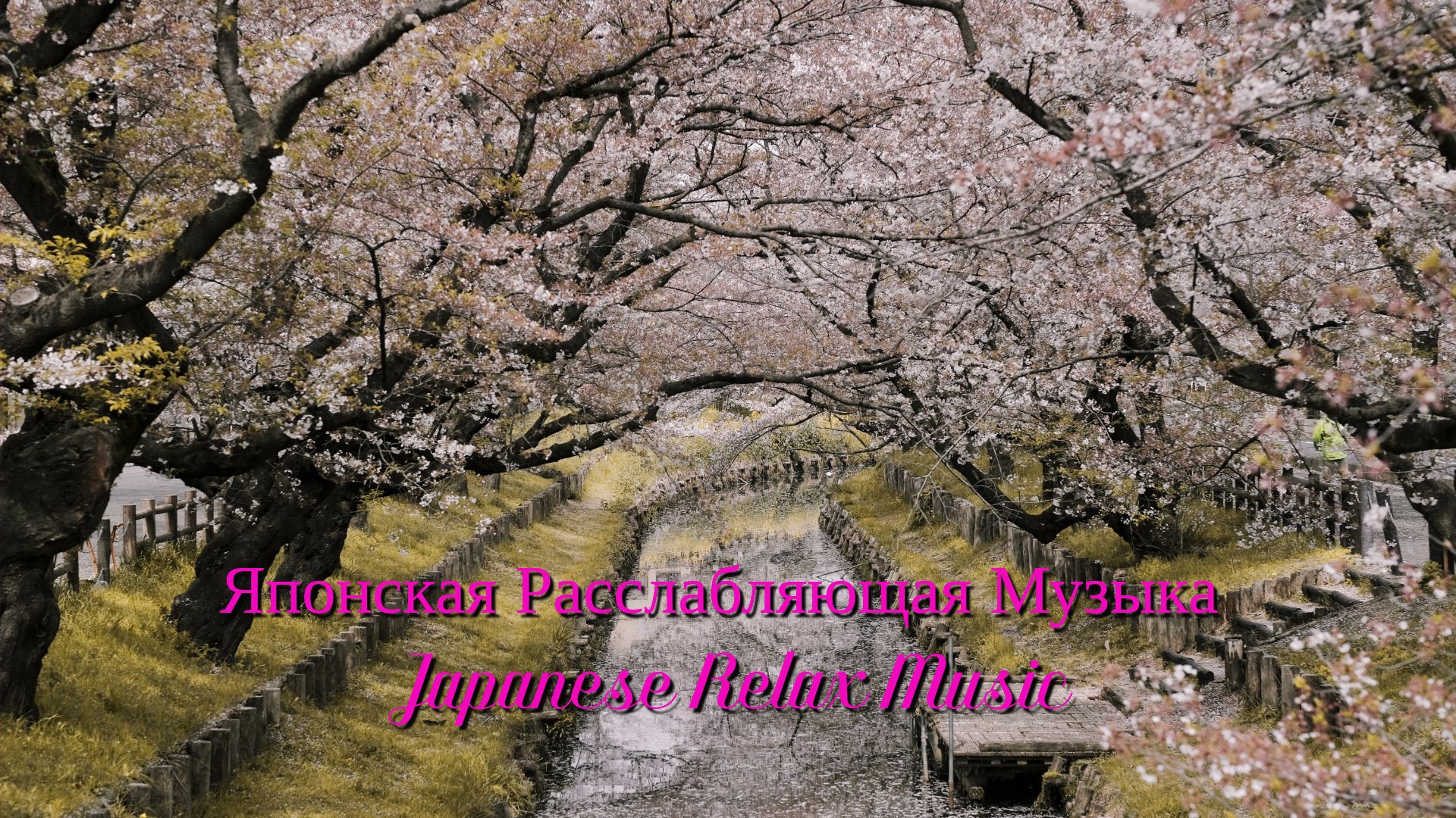 Японская Расслабляющая Музыка / Japanese Relax Music смотреть онлайн