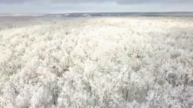 Календарь праздников 24 февраля смотреть онлайн