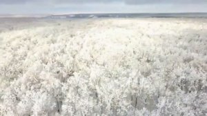 Календарь праздников 24 февраля