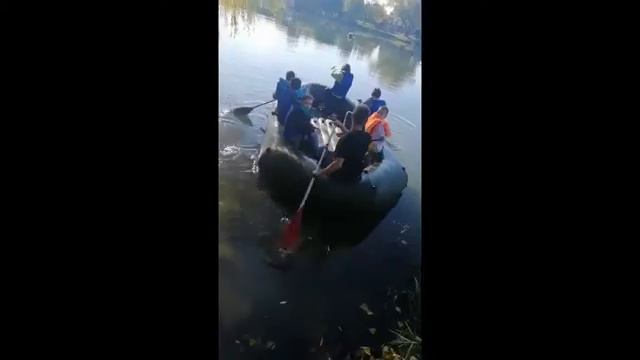 День українського козацтва! День Захисника України!!!Покрова! 14.10.18 озеро Радунка смотреть онлайн