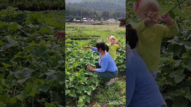 БУДНИ в ГОРОДЕ СОЛНЦА ЗВЕНИГРАД на АЛТАЕ. Светлана Щербакова и Марина Мальцева, мир Универсологии смотреть онлайн