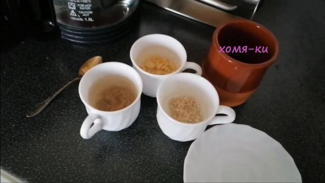Как я кормлю маленьких хомячков 1 часть смотреть онлайн