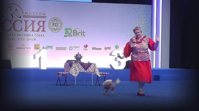 РОССИЯ 2018 | Танцы с собаками | 20. Юсова Юлия ДОГЛАНД ХЭППИ ЕВАНЖЕЛИНА смотреть онлайн