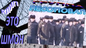 Лесоповал ЭТО ШМОН