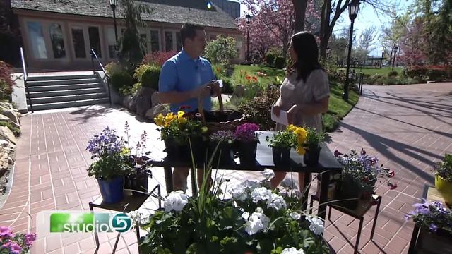 A Gardener's Guide to Porch Pots смотреть онлайн