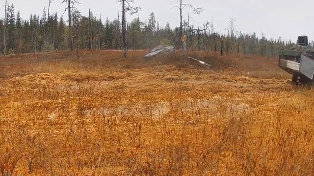 В лес на рыбалку и постройку бани на Поморе х6 смотреть онлайн
