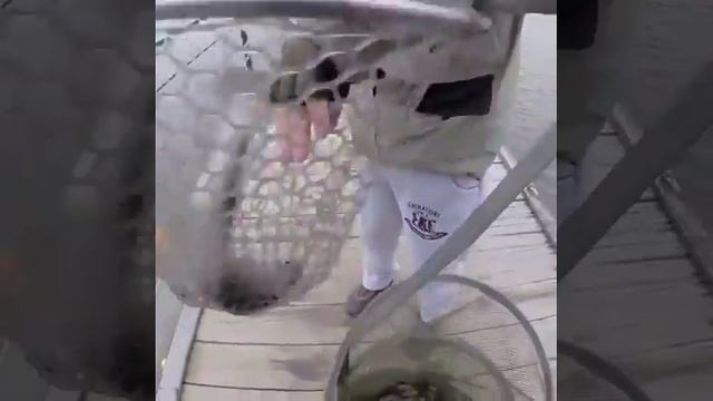 Улов Озеро Понти смотреть онлайн