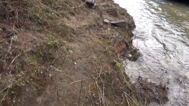 Рыболовные Тропы