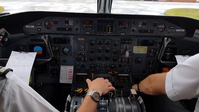 Air New Zealand Dash 8 Q300 Landing at Rotorua смотреть онлайн