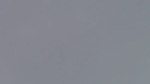 Серпасто Выворотные голуби-ст.Староминская(14.03.16 г.) смотреть онлайн