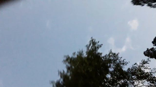 Стингер (циркоблиц)