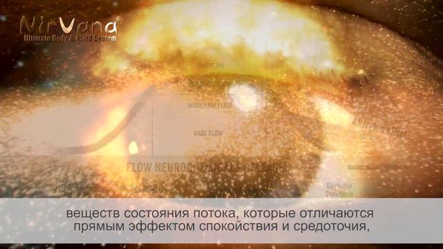 Нирвана® - объяснение величайшей системы тела и разума смотреть онлайн