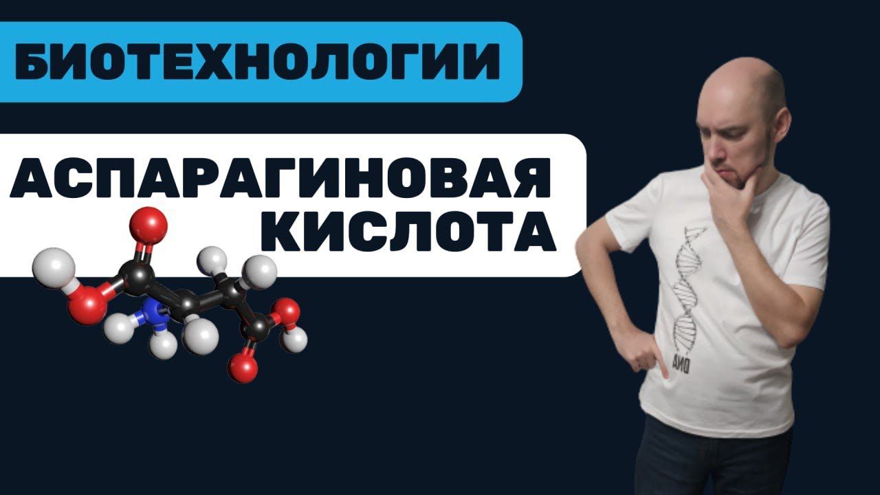 Что такое аспарагиновая кислота? Душкин объяснит смотреть онлайн