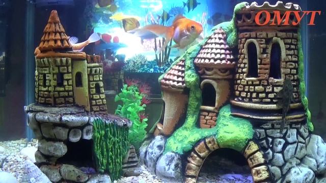 388. ЧИТАЕМ НА ИВАНА КУПАЛЫ ,ЧТОБЫ ПЁРЛО ВО ВСЁМ... смотреть онлайн