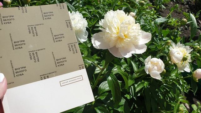 Внутри белого куба. Как понять современное искусство? Куда посмотреть? смотреть онлайн