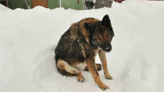 Несколько фото сразу. Видео из фото смотреть онлайн