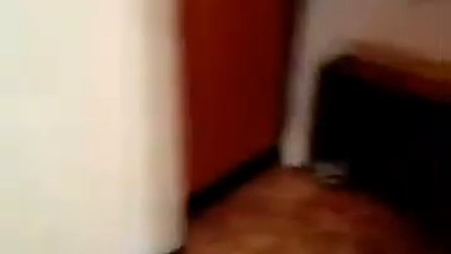 Обзор 1 ккв. по адресу: г. Томск, ул. Олега Кошевого, д.79 смотреть онлайн