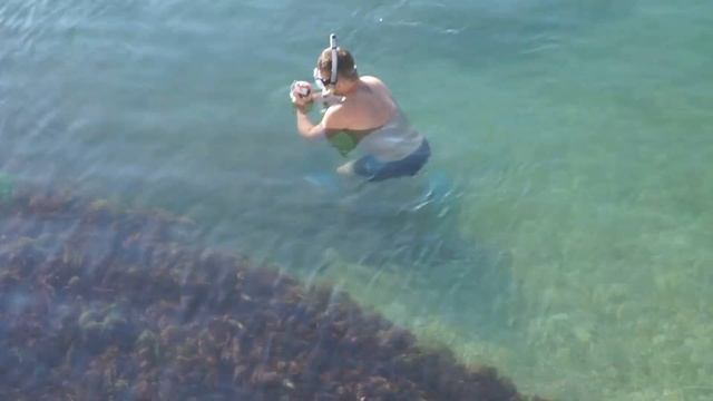 Погружение перед заплывом вдоль мола. Вид с высоты мола