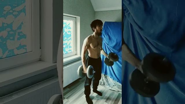 Качаем бицепс гантелями дома #workout #тренировка #бицепс #спорт смотреть онлайн