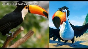 " Рио "в Реальной жизни !