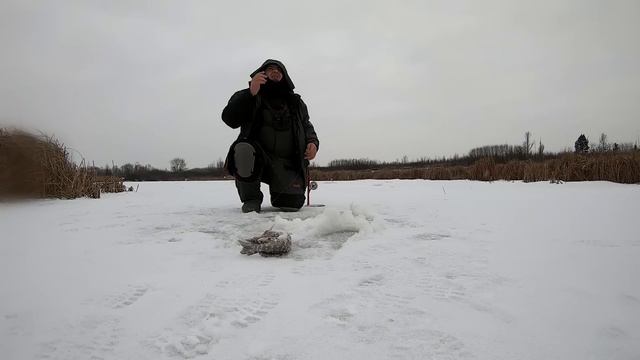 Рыбалка на ЖЕРЛИЦЫ 2023 Ноги УСТАЛИ смотреть онлайн