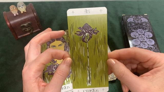Обзор колоды «Jonasa Jaus Tarot» , ?Раритетное 2-е издание. смотреть онлайн