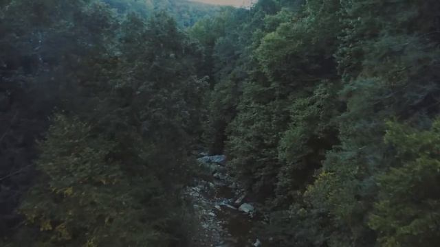 РАСКРЫТЬ ИСТИННУЮ СУЩНОСТЬ ЖЕНЩИНЫ ЛЕГКО! КОГДА У ТЕБЯ ПРОБЛЕМЫ В ЖИЗНИ, ОНА ПОКАЖЕТ СЕБЯ НАСТОЯЩУЮ