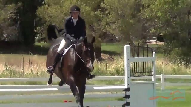 Spellbound, 3'3" Pre-Green Hunters смотреть онлайн