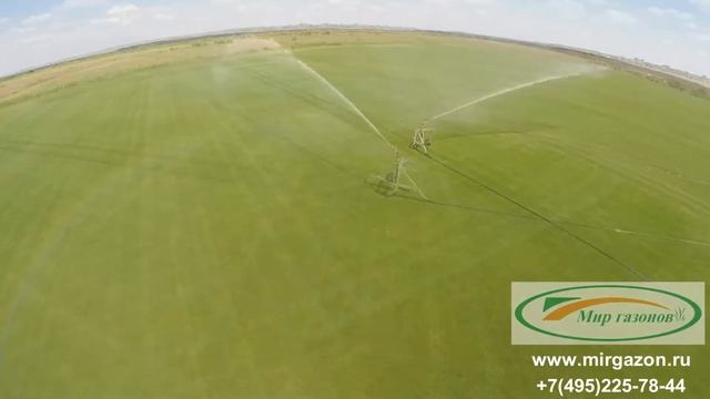 Полив рулонного газона компании "Мир Газонов". Советы по поливу от mirgazon.ru смотреть онлайн