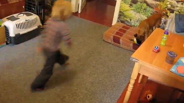 Игра со щенком. смотреть онлайн