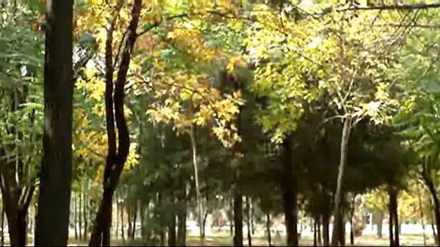 ОСЕННИЙ ДЕНДРОПАРК. Шымкент. смотреть онлайн
