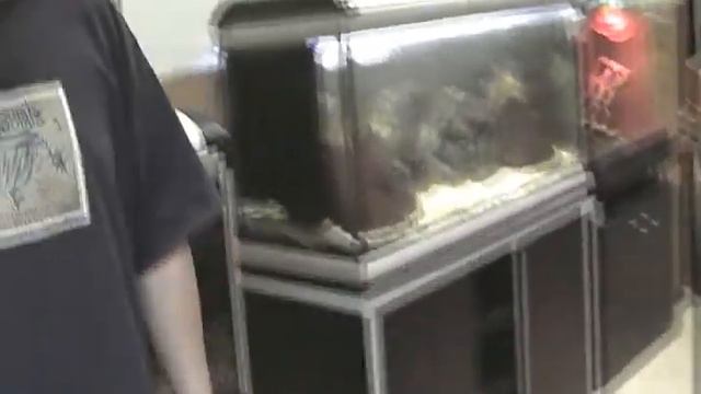 Зоомагазин "Природа".avi смотреть онлайн