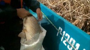 Рыбалка в Астрахани. Выезд в Большой Могой.