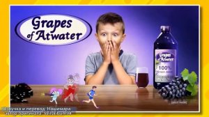 Обучение c Пибби и проблемы возрастного ограничения