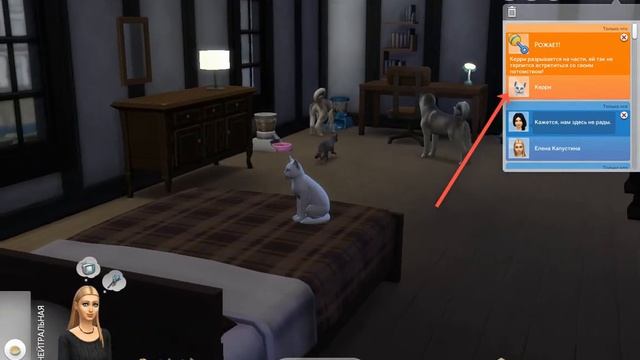 Как сделать котят и щенят в THE SIMS 4 смотреть онлайн
