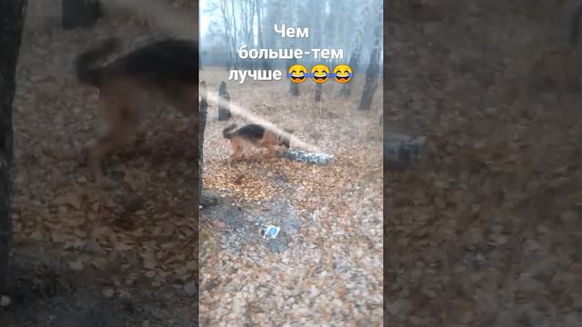 чем больше-тем лучше смотреть онлайн