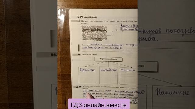 ГДЗ. Биология. 5 класс. В.Пасечник. Рабочая тетрадь. Параграф 19 смотреть онлайн