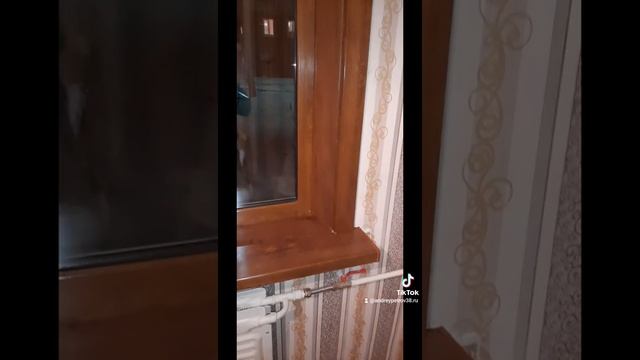 Окна Veka Золотой дуб смотреть онлайн