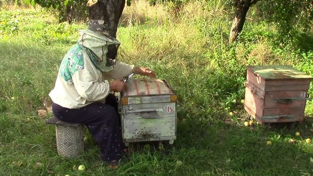 Проверка запасов корма на зимний период 2 часть смотреть онлайн