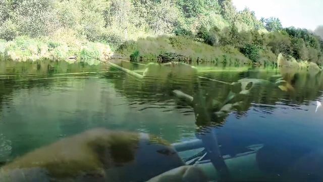 Щука на джиг в сентябре..Река клязьма.Ловля на джиг в коряжнике...... смотреть онлайн