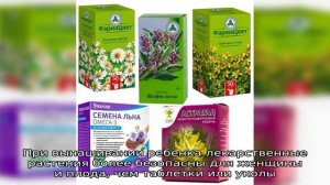 Мочегонные травы для почек