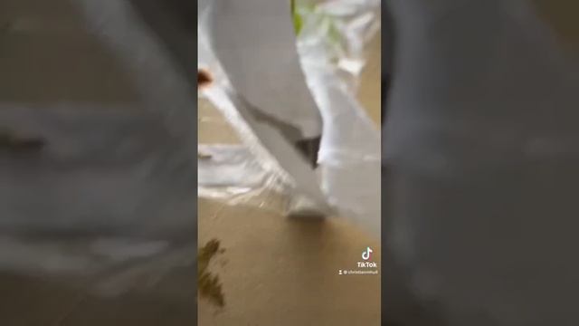 Chia Seed Wall Art смотреть онлайн