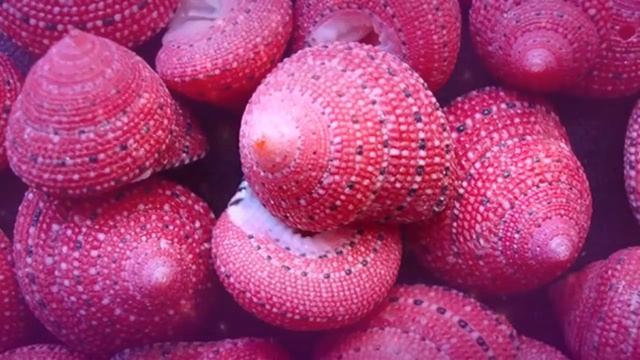 Деньги В Жизнь Рекой. Денежная Медитация смотреть онлайн