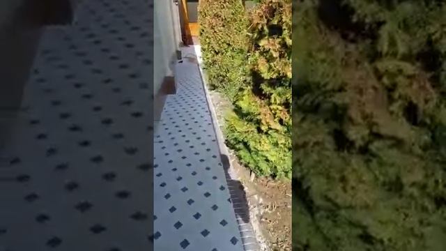 Принимаем заказы на ремонт домов и квартир, офисов, коттедж подключ обрашаетесь. Т. +992880089600 смотреть онлайн