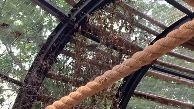 СХОДИЛ В МОСКОВСКИЙ ЗООПАРК | ВЛОГ смотреть онлайн